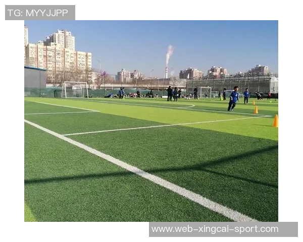 足球解谜:揭开绿茵场上的神秘面纱与战术奥秘